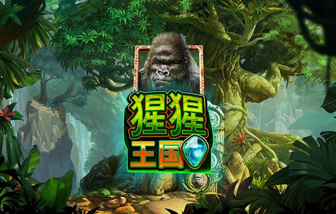 天博tb体育综合